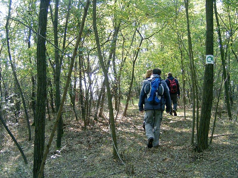 2010.10.09. 027.jpg